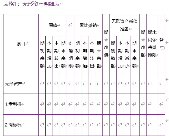 【word】无形资产明细表