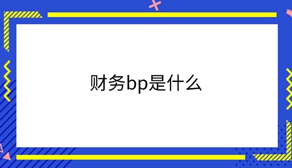 财务bp是什么.png