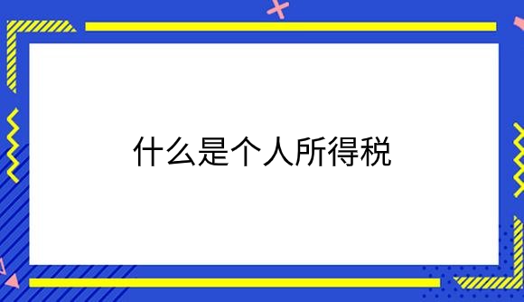 什么是个人所得税.png