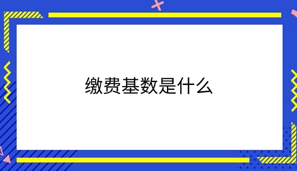 缴费基数是什么.png