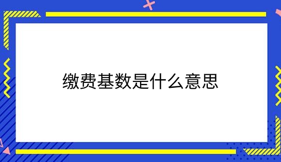 缴费基数是什么意思_.png